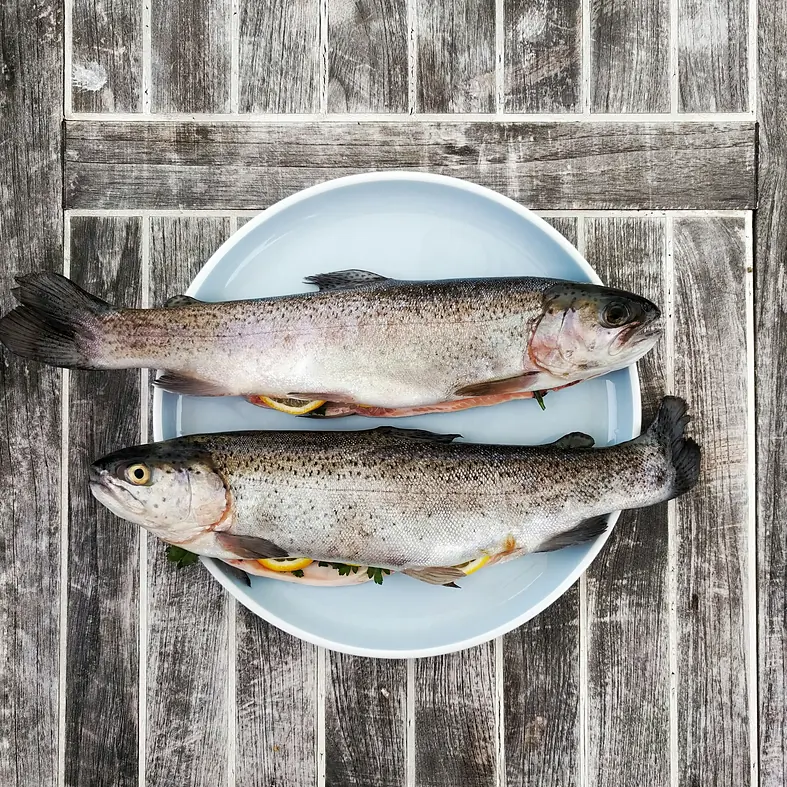 Cá làm sạch, cá nhập – VB Food